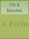  CVs & Resumes 